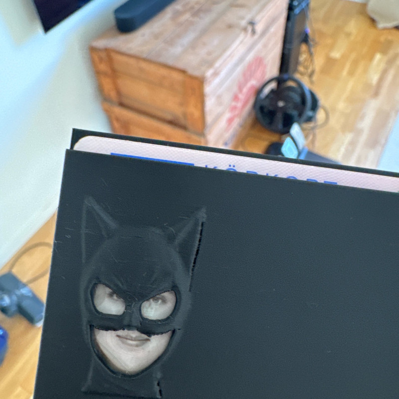 Catwoman Ehliyet Kılıfı - Özel 3D Baskı Aksesuar Catwoman Ehliyet Kılıfı - Özel 3D Baskı Aksesuar