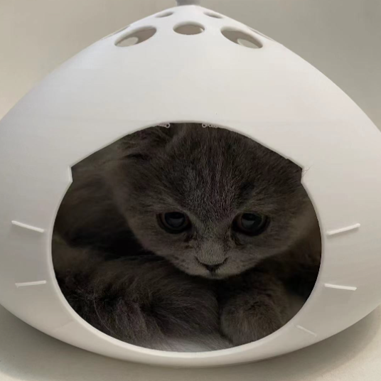 Özel Kedi Litofan Tablosu - 3D Baskı Dekor