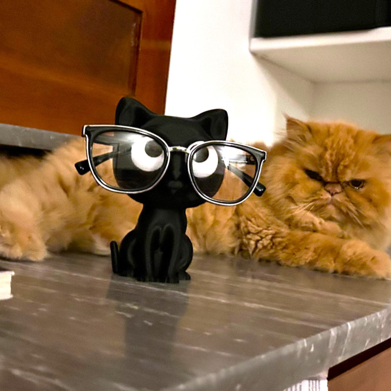 Nope Bugün Değil Kedi Bardak Altlığı Tutucu - 3D Baskı Dekor