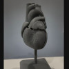 İnsan Kalbi Anatomik Modeli - 2 Parçalı Eğitici 3D Baskı