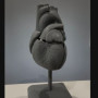 İnsan Kalbi Anatomik Modeli - 2 Parçalı Eğitici 3D Baskı