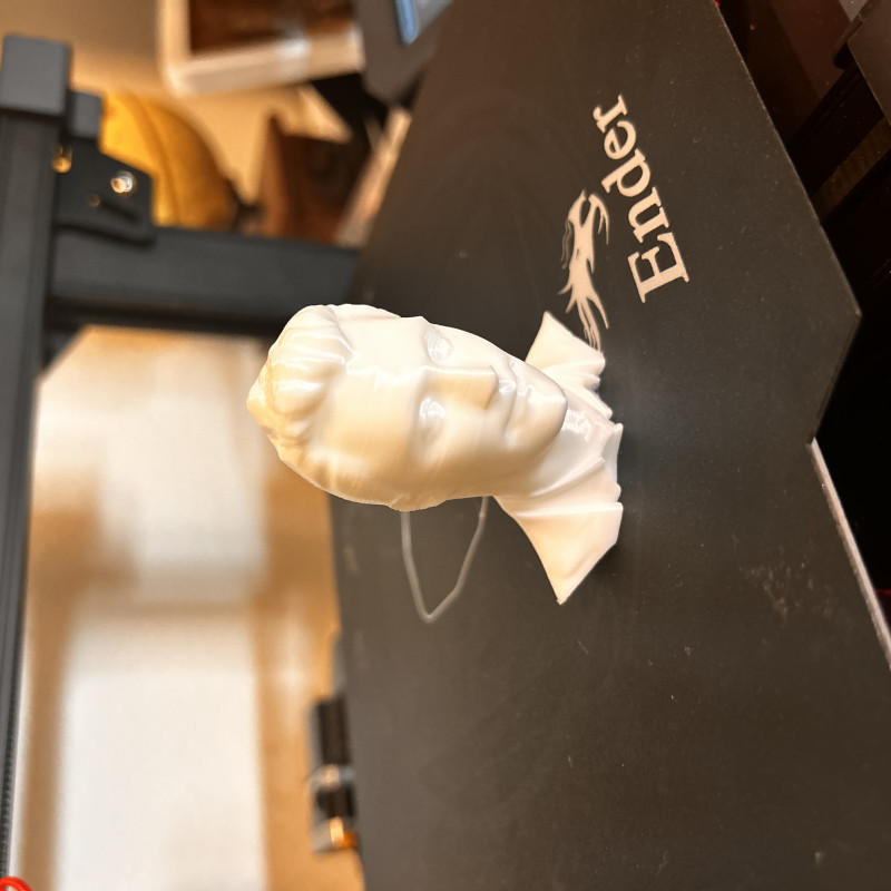 Charlie Kirk Büst 3D Baskı Heykel - Dekoratif Figür Charlie Kirk Büst 3D Baskı Heykel - Dekoratif Figür