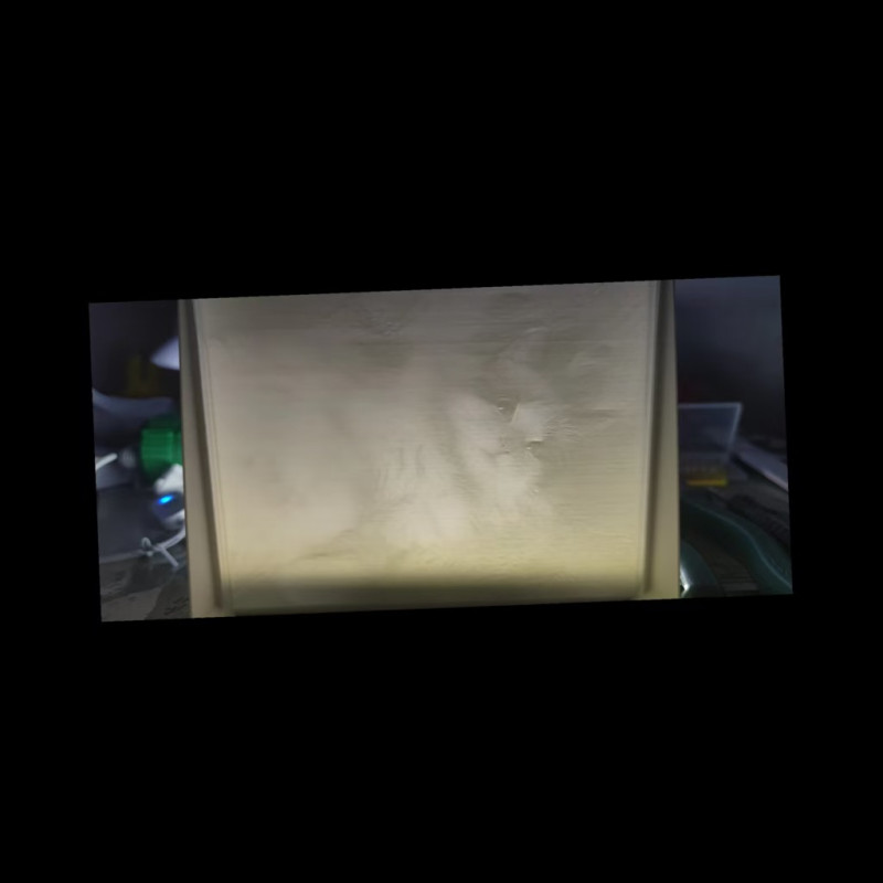 Özel Kedi Litofan Tablosu - 3D Baskı Dekor