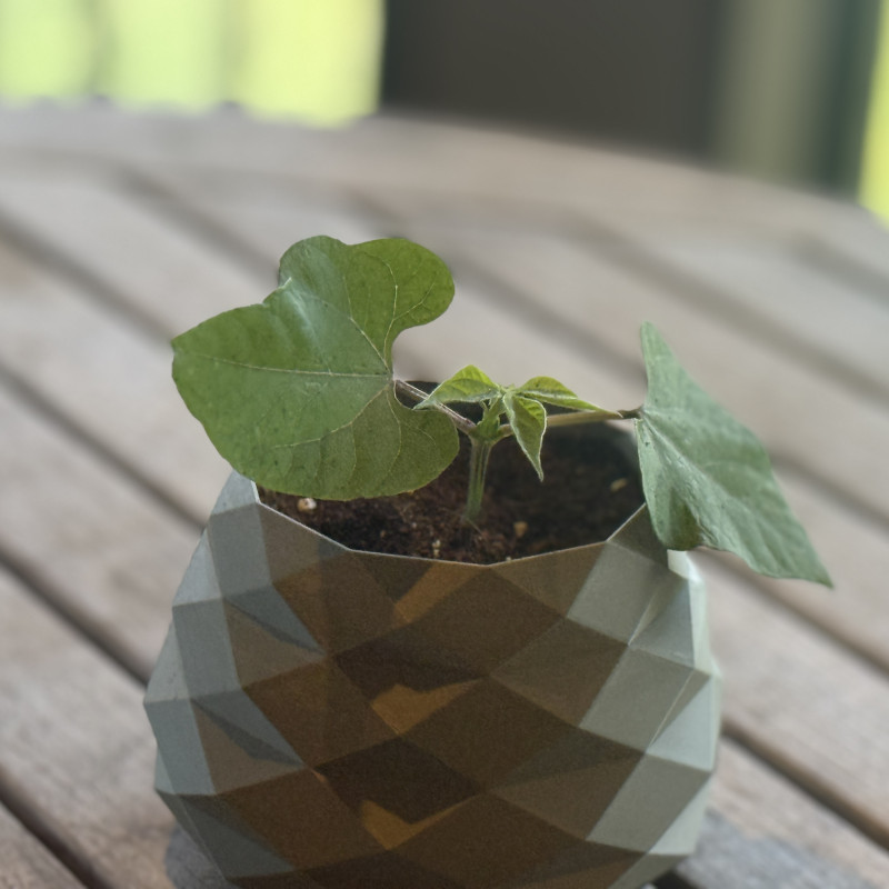 Modern Bitki Saksısı - 3D Baskılı Özel Tasarım Fidanlık