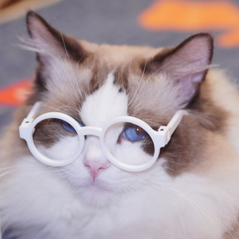 Oyuncak Kedi Gözlüğü - Mini 3D Baskı Katlanır Aksesuar