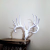 3D Baskılı Beyaz Kuyruklu Geyik Kafatası Duvar Dekoru - Sweet Model