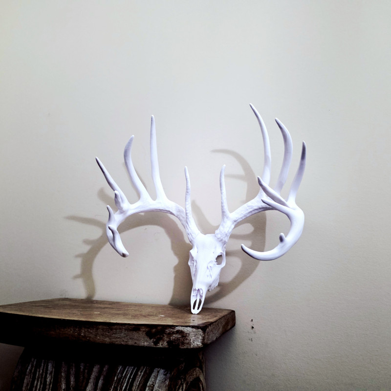 3D Baskılı Beyaz Kuyruklu Geyik Kafatası Duvar Dekoru - Sweet Model