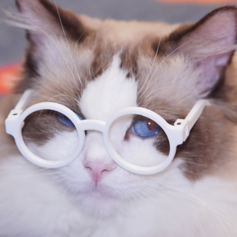 Oyuncak Kedi Gözlüğü - Mini 3D Baskı Katlanır Aksesuar