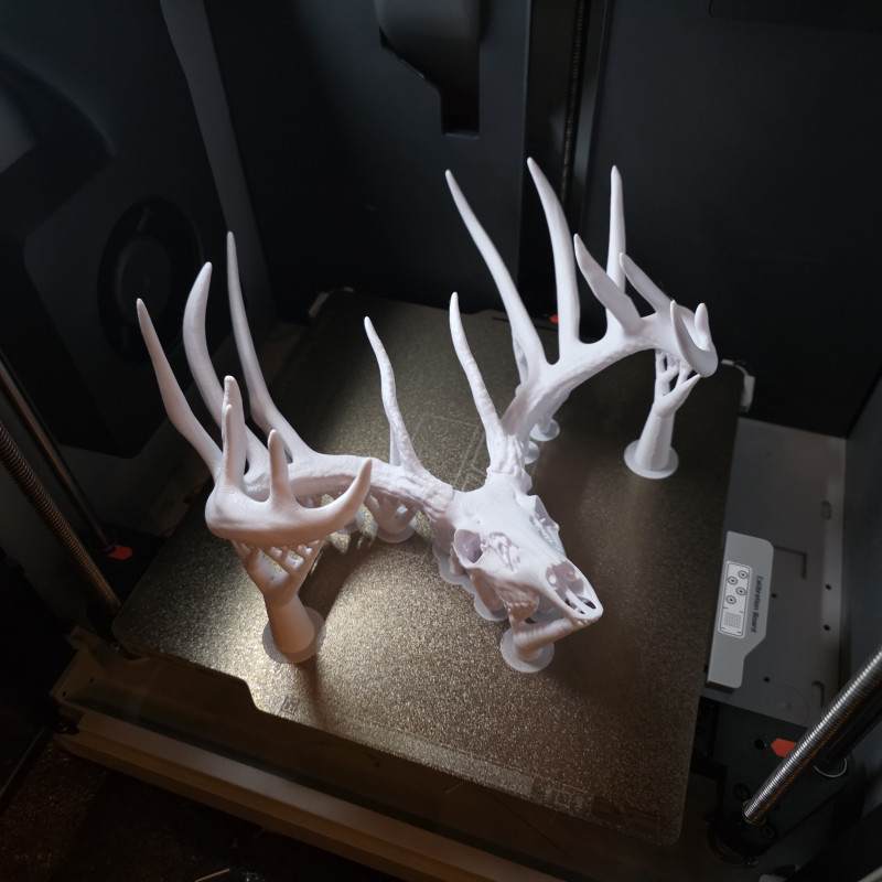 3D Baskılı Beyaz Kuyruklu Geyik Kafatası Duvar Dekoru - Sweet Model