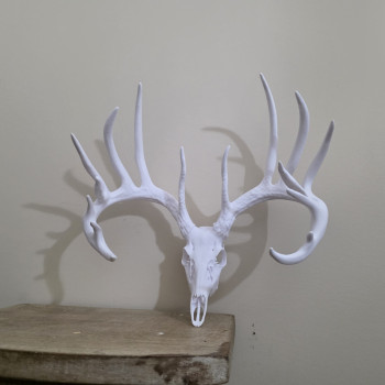 3D Baskılı Beyaz Kuyruklu Geyik Kafatası Duvar Dekoru - Sweet Model