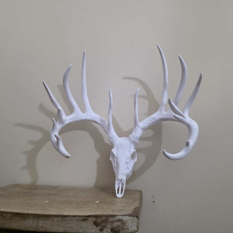 3D Baskılı Beyaz Kuyruklu Geyik Kafatası Duvar Dekoru - Sweet Model
