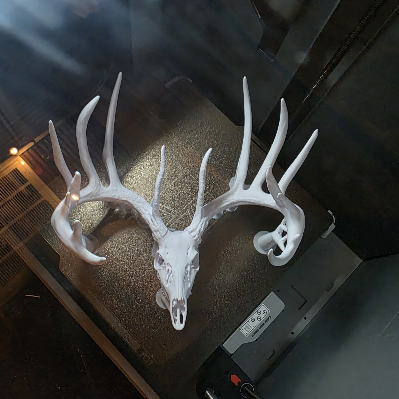 3D Baskılı Beyaz Kuyruklu Geyik Kafatası Duvar Dekoru - Sweet Model