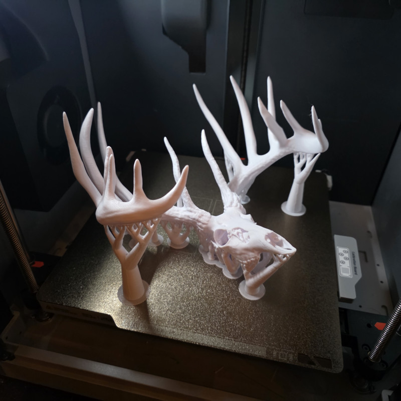 3D Baskılı Beyaz Kuyruklu Geyik Kafatası Duvar Dekoru - Sweet Model