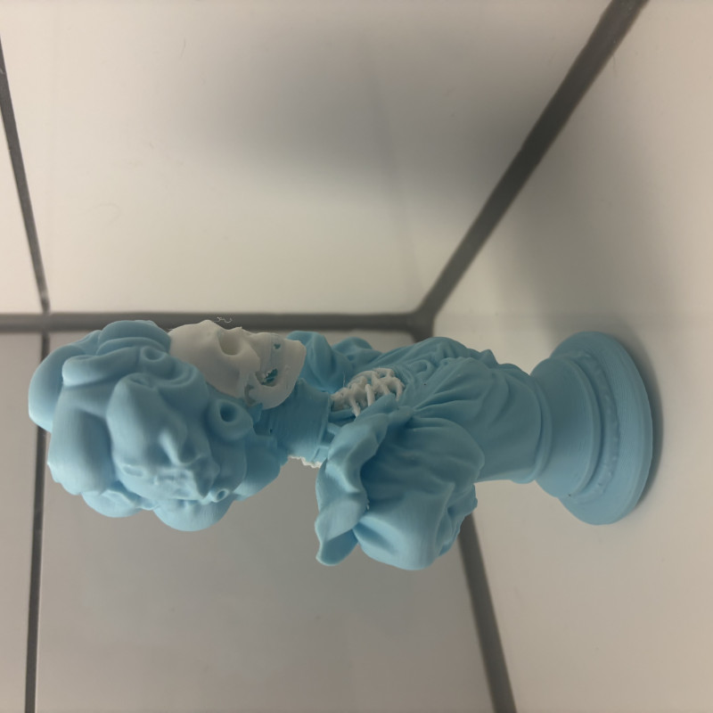 Viktorya Dönemi Kadın İskelet Büst Dekor - 3D Baskı