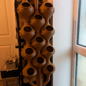 Dikey Hidroponik Sistem - Evde Ot Yetiştirme Seti