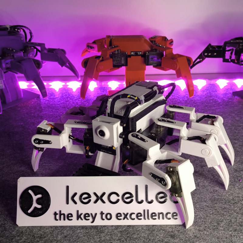 SIXpack Altı Bacaklı FPV Yürüyen Robot - 3D Baskı Robotik Set