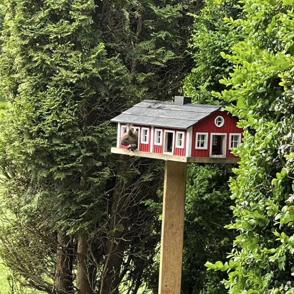 İsveç Tarzı Kuş Evi ve Sincap Yemliği - 3D Baskı Bahçe Dekoru