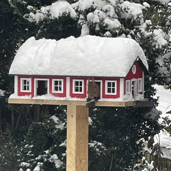 İsveç Tarzı Kuş Evi ve Sincap Yemliği - 3D Baskı Bahçe Dekoru