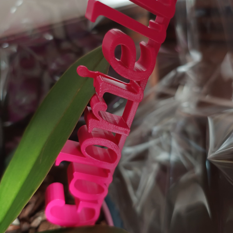 Disney Sihirli Alfabe 3D Baskı Dekoratif Harfler Seti