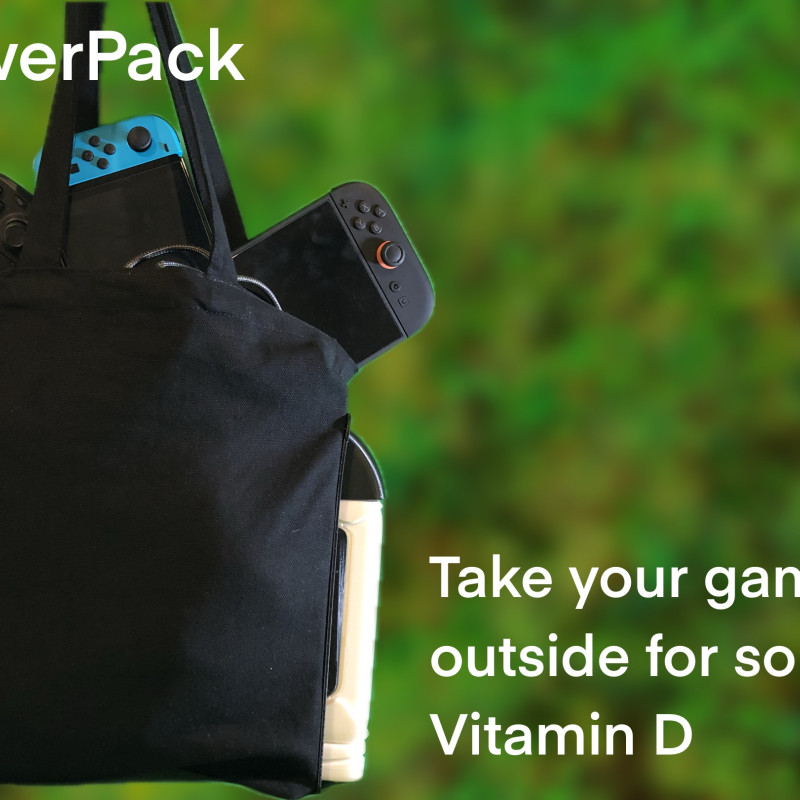 EcoFlow RAPID Pro X PowerPack Taşınabilir Şarj Çantası - 3D Baskı Aksesuar