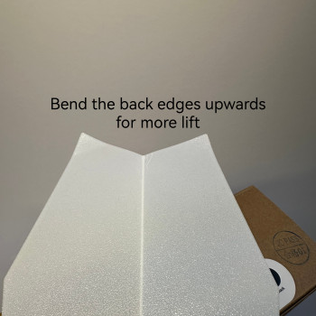 3D Baskı Kağıt Uçak - Mükemmel Uçuş ve Dayanıklı PLA Oyuncak