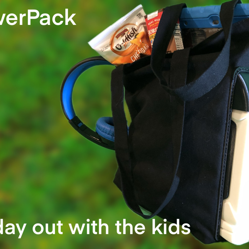 EcoFlow RAPID Pro X PowerPack Taşınabilir Şarj Çantası - 3D Baskı Aksesuar