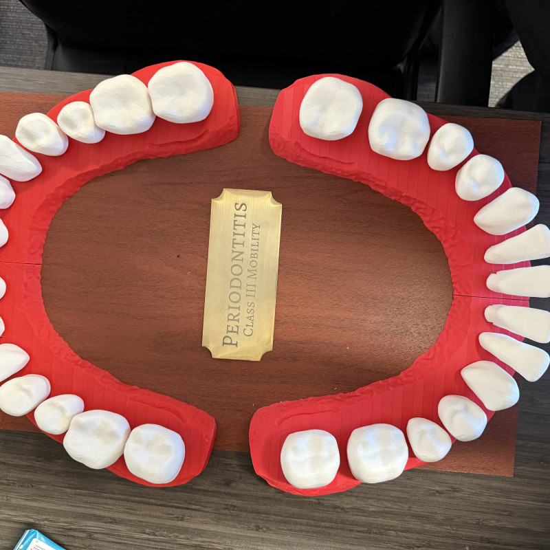 Diş Anatomisi 3D Baskı Tıklamalı Diş Seti - Eğitim Modeli
