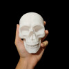 3D Baskı Kafatası Modeli - Eğitici Anatomi Maketi