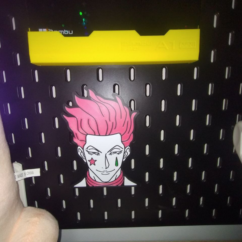 Hisoka Skadis Dekoratif Figür - Hunter x Hunter 3D Baskı