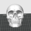 3D Baskı Kafatası Modeli - Eğitici Anatomi Maketi