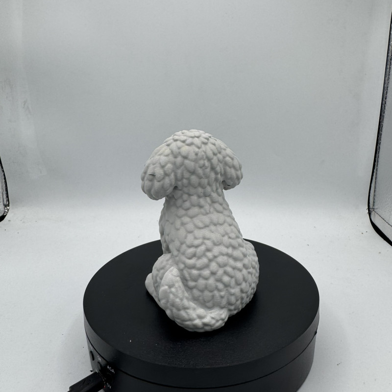 Sevimli Mini Golden Doodle Köpek 3D Baskı Dekor Figürü