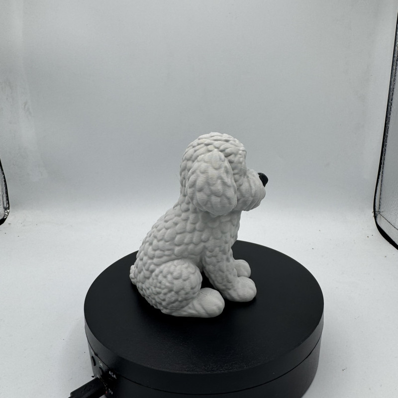 Sevimli Mini Golden Doodle Köpek 3D Baskı Dekor Figürü