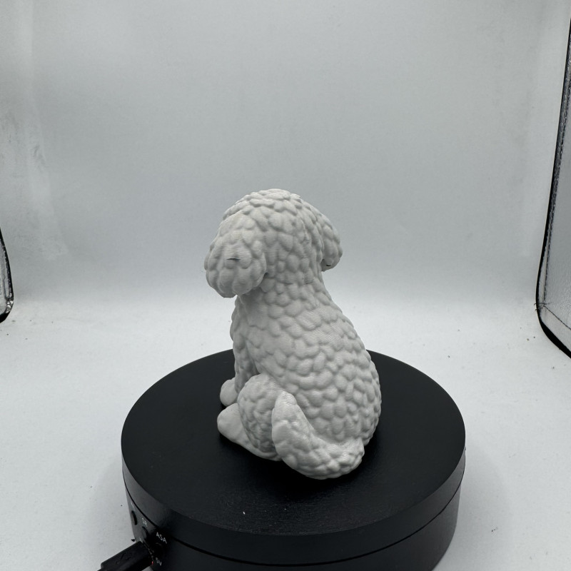 Sevimli Mini Golden Doodle Köpek 3D Baskı Dekor Figürü