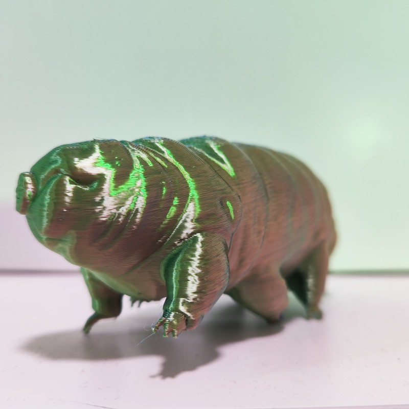 Detaylı Su Ayısı Tardigrade 3D Baskı Modeli - Eğitim ve Koleksiyon