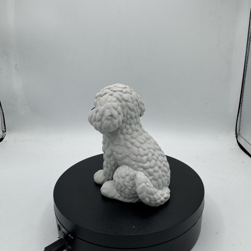 Sevimli Mini Golden Doodle Köpek 3D Baskı Dekor Figürü