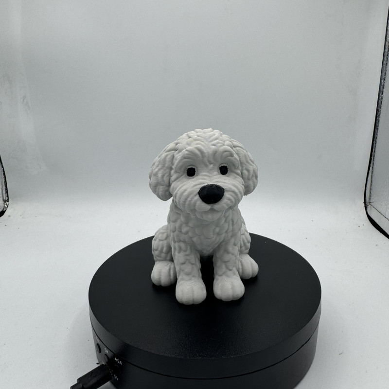 Sevimli Mini Golden Doodle Köpek 3D Baskı Dekor Figürü