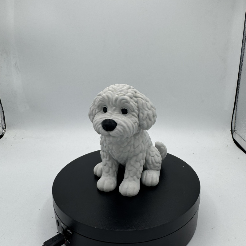 Sevimli Mini Golden Doodle Köpek 3D Baskı Dekor Figürü