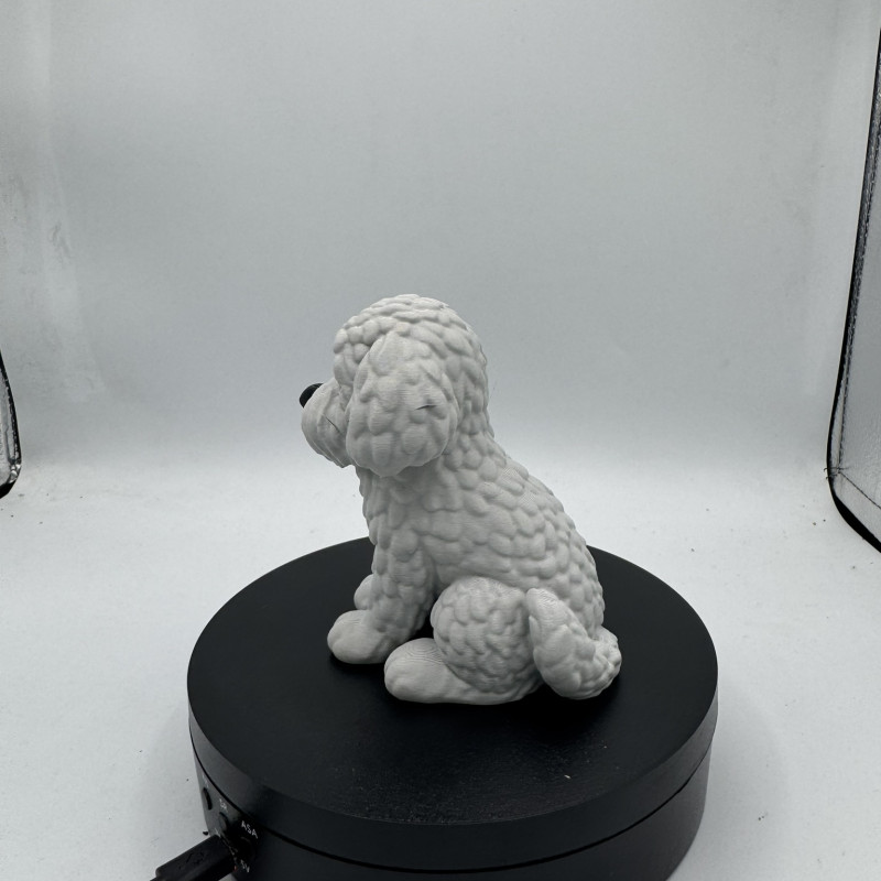 Sevimli Mini Golden Doodle Köpek 3D Baskı Dekor Figürü