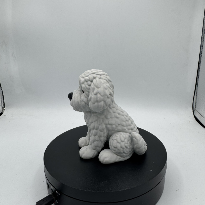 Sevimli Mini Golden Doodle Köpek 3D Baskı Dekor Figürü