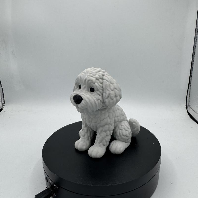 Sevimli Mini Golden Doodle Köpek 3D Baskı Dekor Figürü