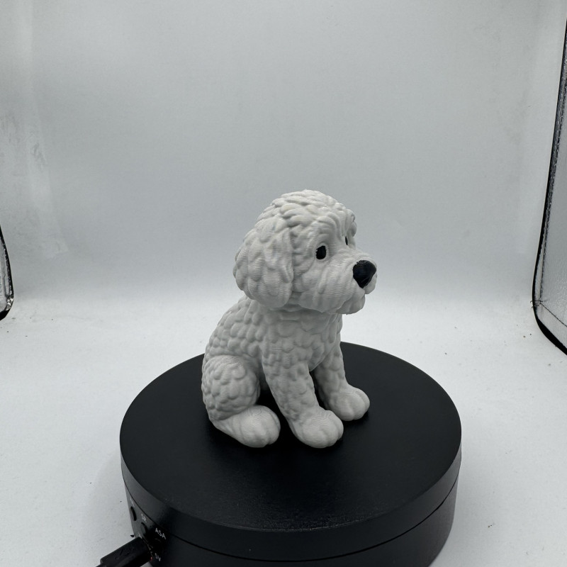 Sevimli Mini Golden Doodle Köpek 3D Baskı Dekor Figürü