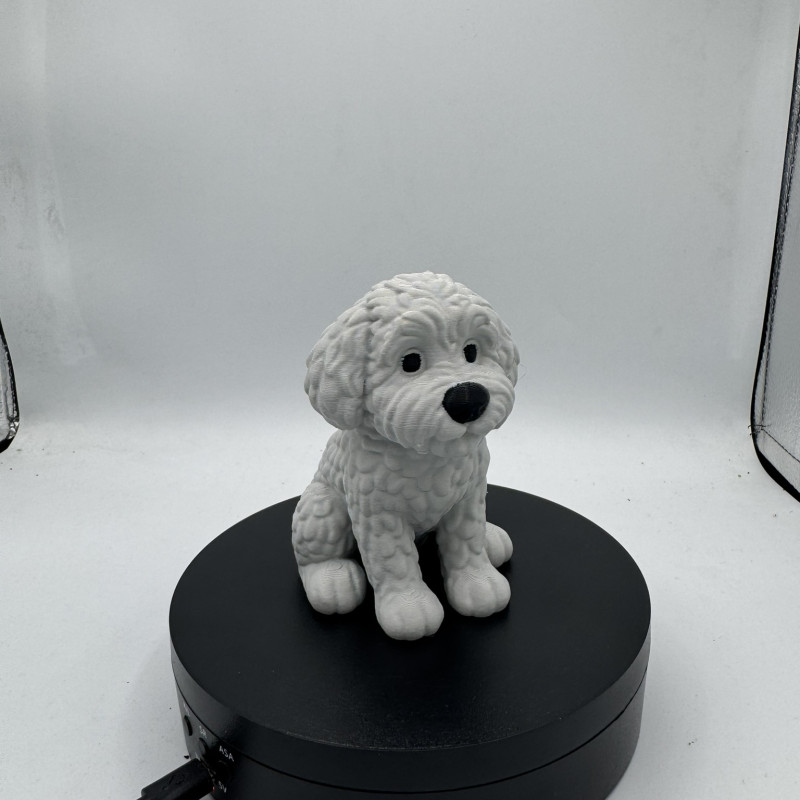 Sevimli Mini Golden Doodle Köpek 3D Baskı Dekor Figürü