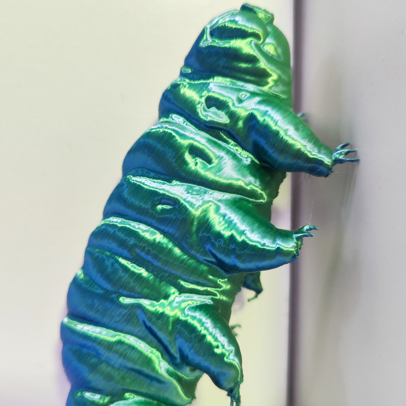 Detaylı Su Ayısı Tardigrade 3D Baskı Modeli - Eğitim ve Koleksiyon