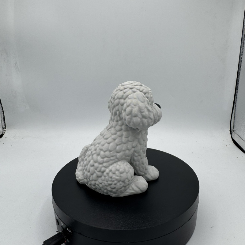 Sevimli Mini Golden Doodle Köpek 3D Baskı Dekor Figürü