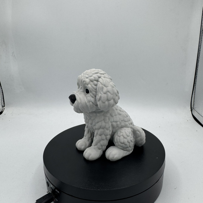 Sevimli Mini Golden Doodle Köpek 3D Baskı Dekor Figürü