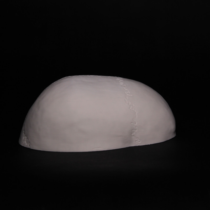 Anatomik Doğru Öğrenci Kafatası Modeli - 3D Baskı Eğitim