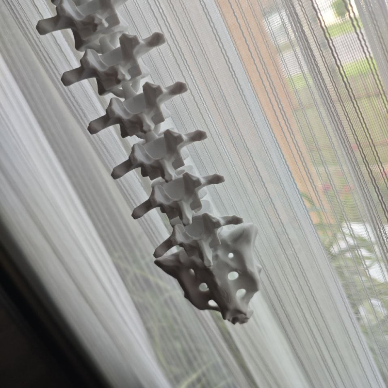 Hareketli Halloween Canavarı The Biter - 3D Baskı Maketi