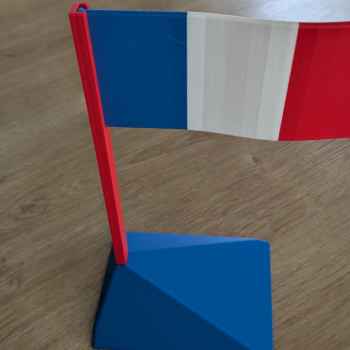 18 cm Özelleştirilebilir Eğitici Bayrak - 3D Baskı Coğrafya Modeli