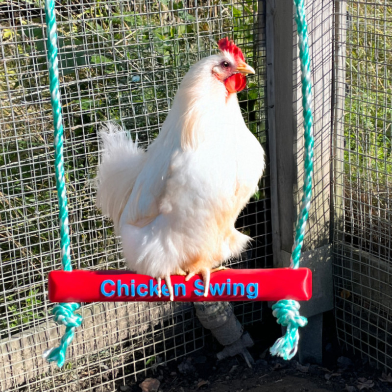 3D Baskı Tavuk Tünek ve Salıncak - Evcil Hayvan Eğlencesi 3D Baskı Tavuk Tünek ve Salıncak - Evcil Hayvan Eğlencesi