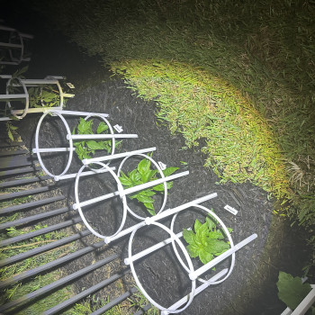 Modüler Domates Bitki Kafesi - 3D Baskı Bahçe Aksesuarı